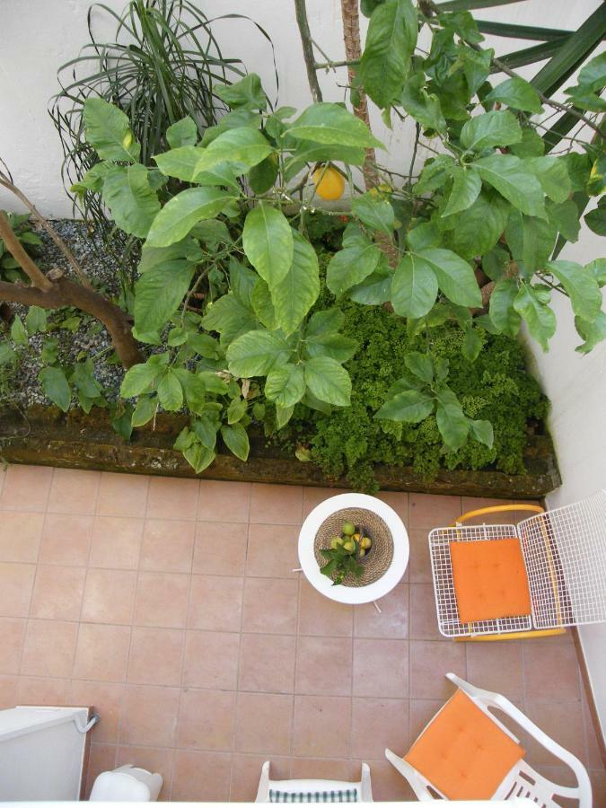Il Cedrangolo House Monopoli Eksteriør bilde